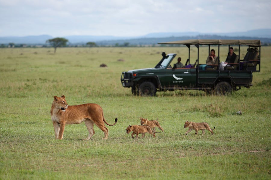A day on safari - grumeti