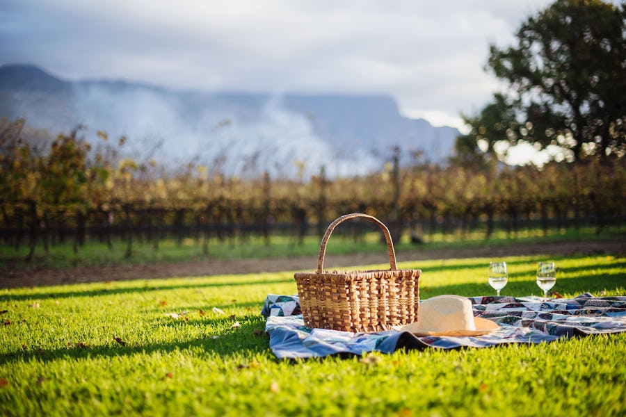 The best picnic spots in Cape Town - Last word