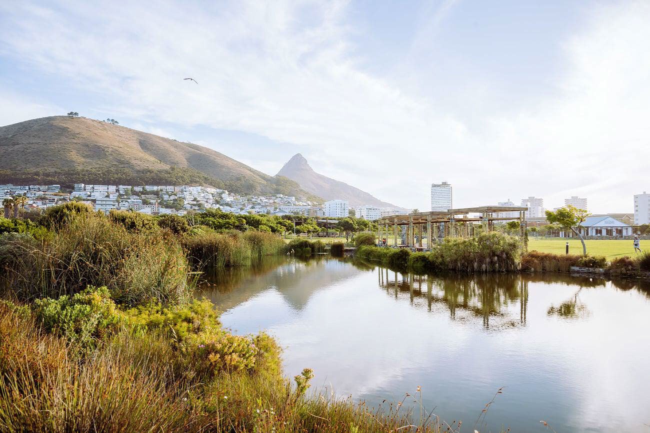 An urban oasis, find a moment of peace in Green Point Park. Credit