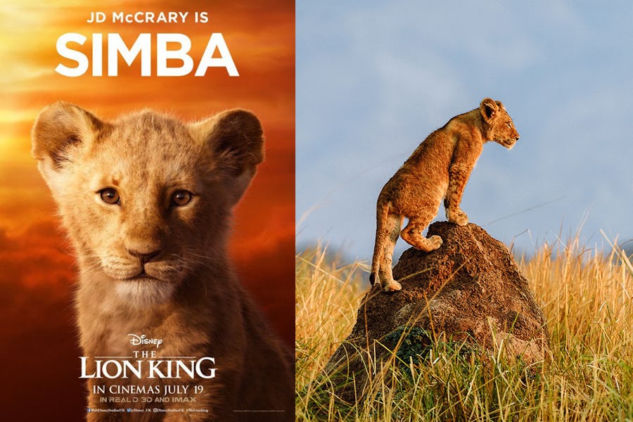 Meet Your Favourite Lion King Characters - Timbuktu