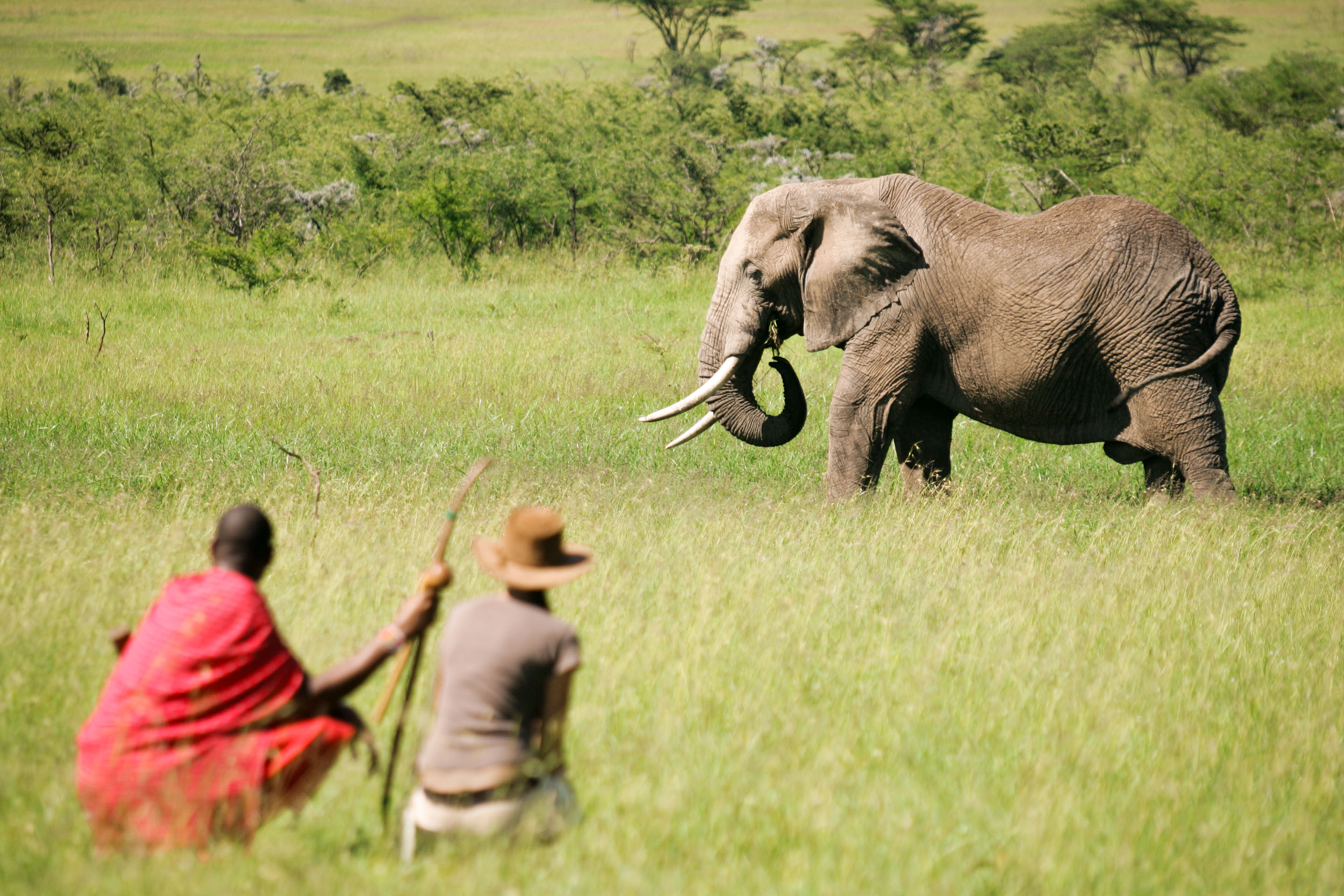 Top 5 Kenya walking safaris