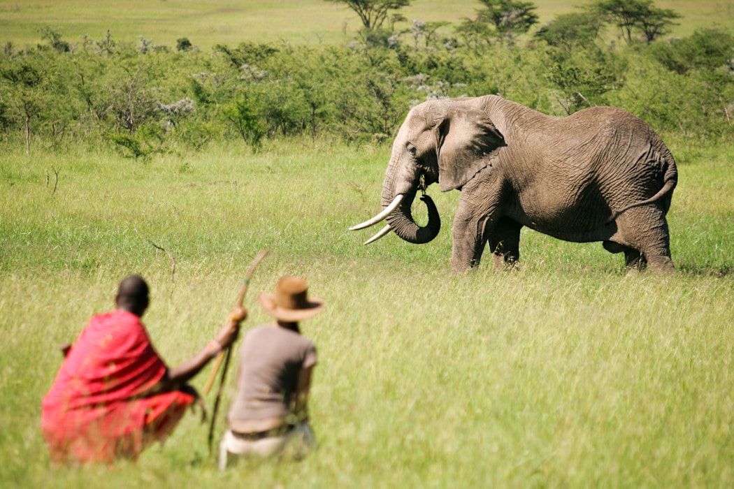Kenya walking safaris - naboisho