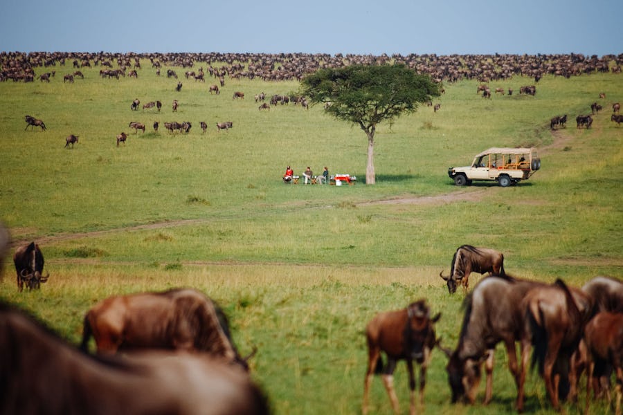 East Africa safari guide - naibor camp