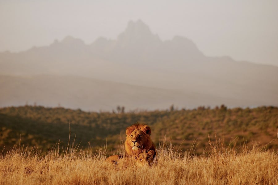 Kenya walking safaris - borana lodge