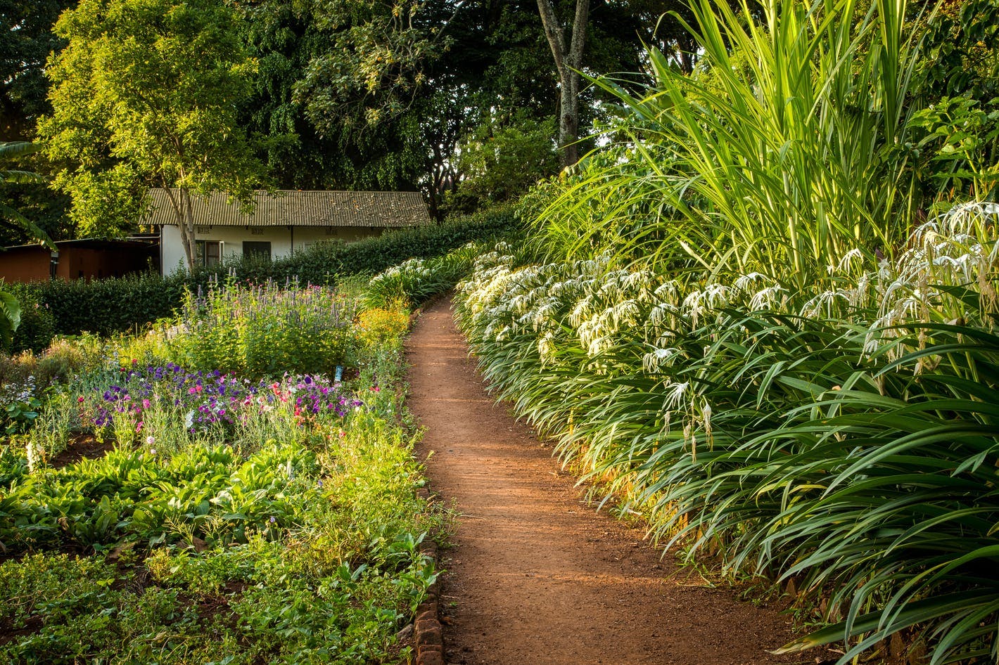 Best lodges in Tanzania