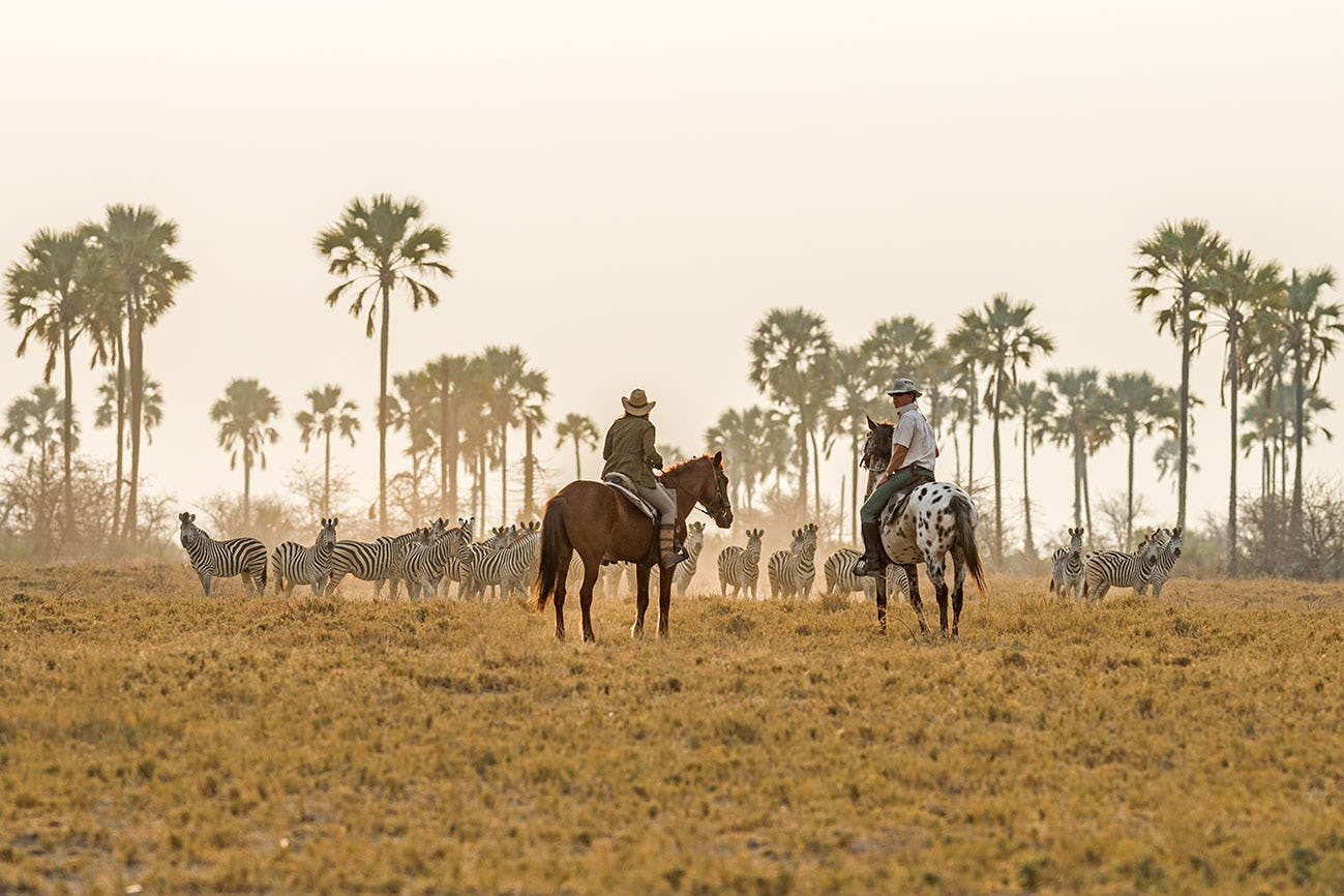 Things to do in Botswana