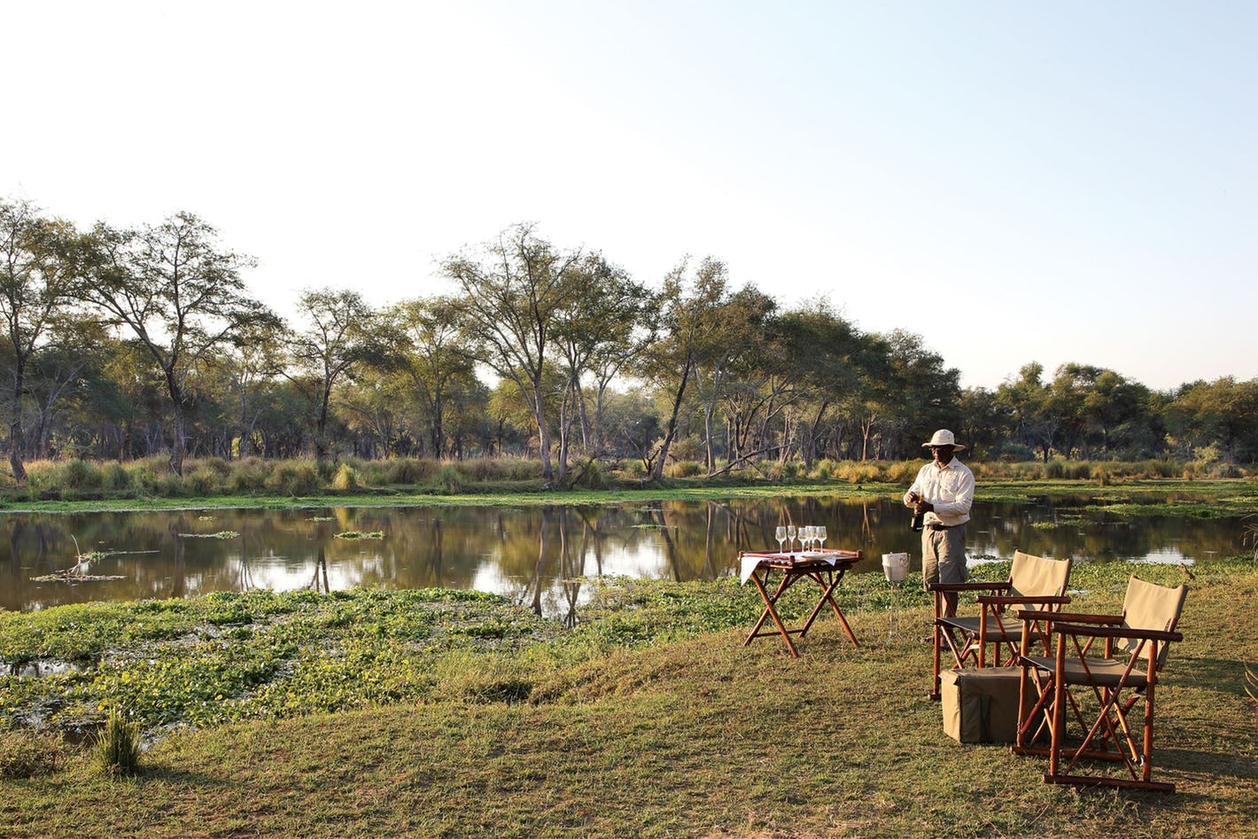 Zambia safari