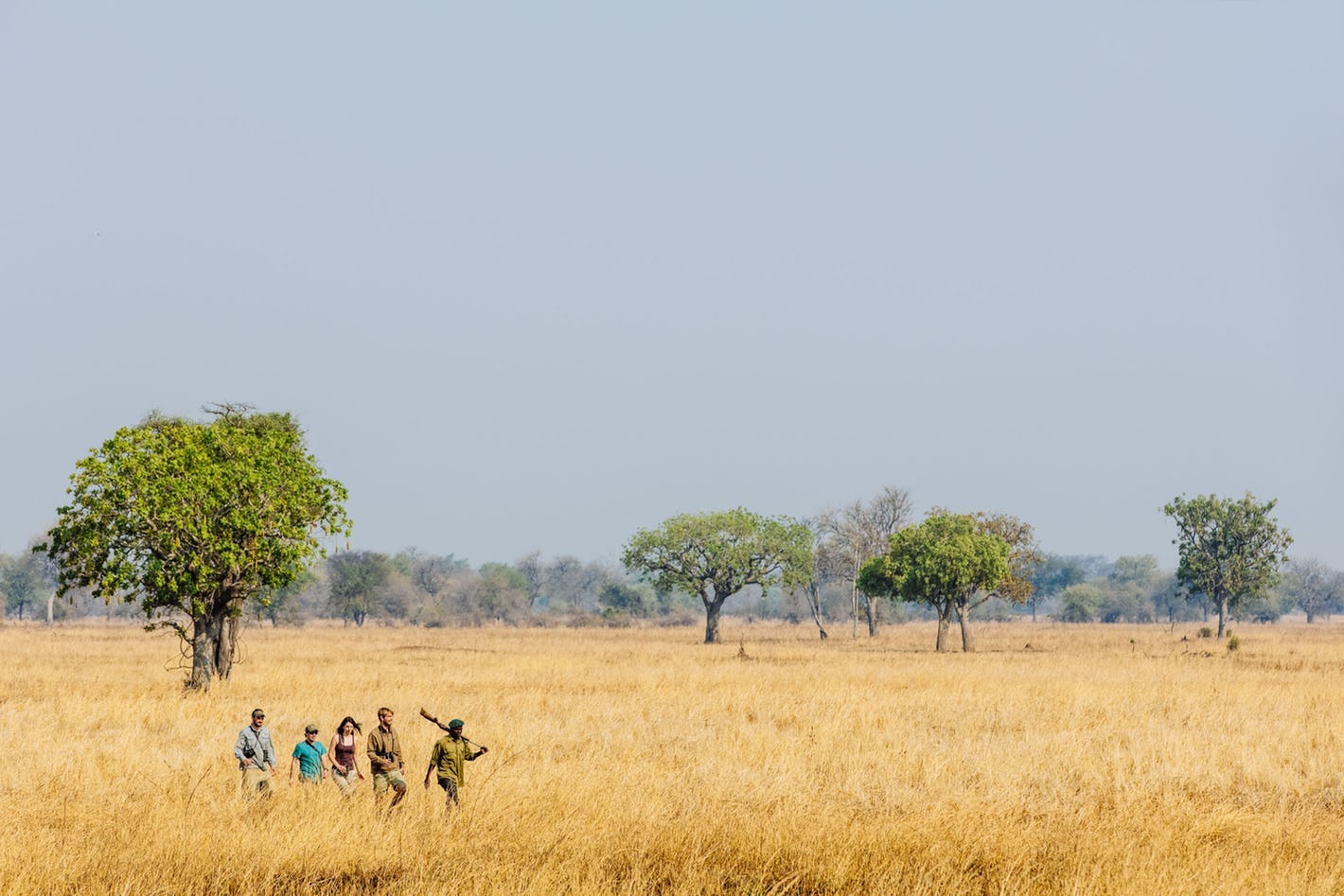 travel advice for zambia