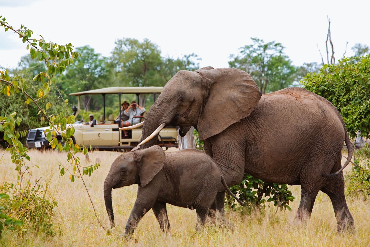 zambia travel tips