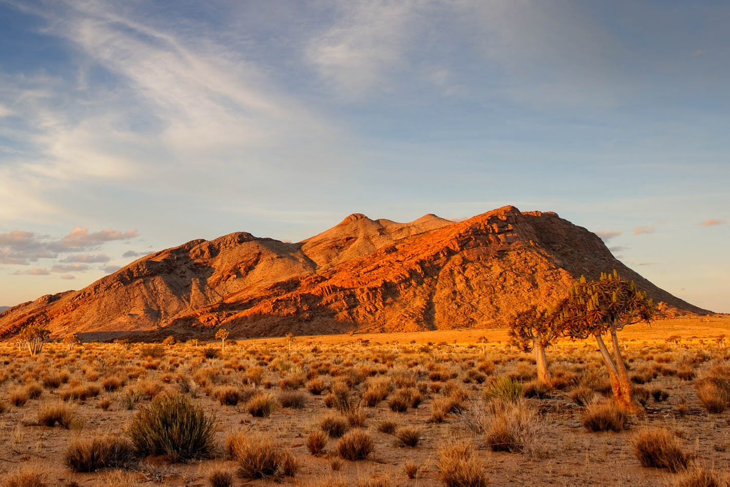 How to plan an affordable Namibia safari