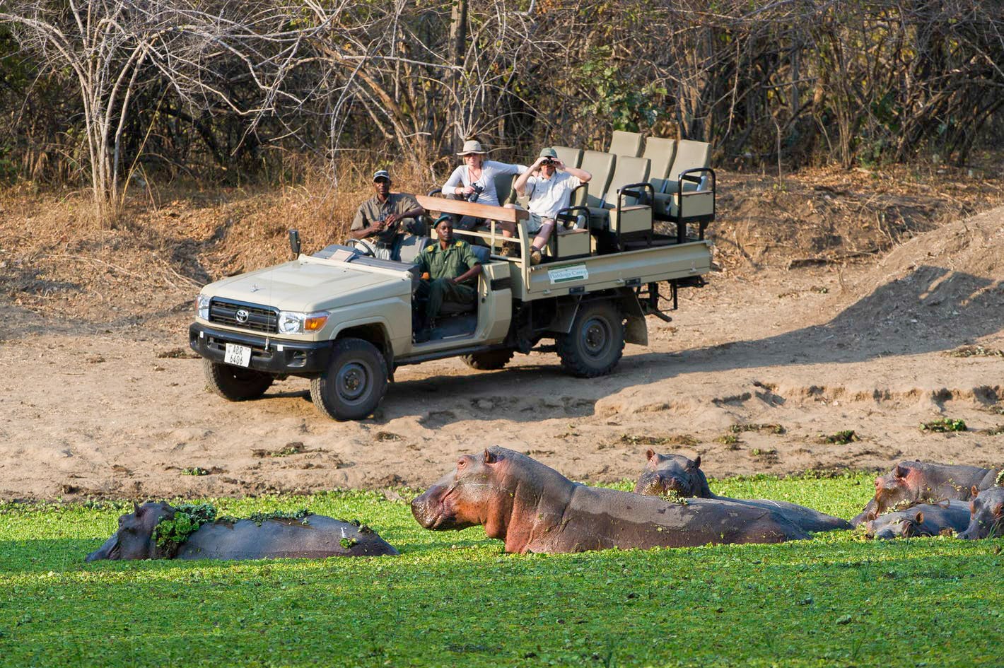 game drive with hippo 1