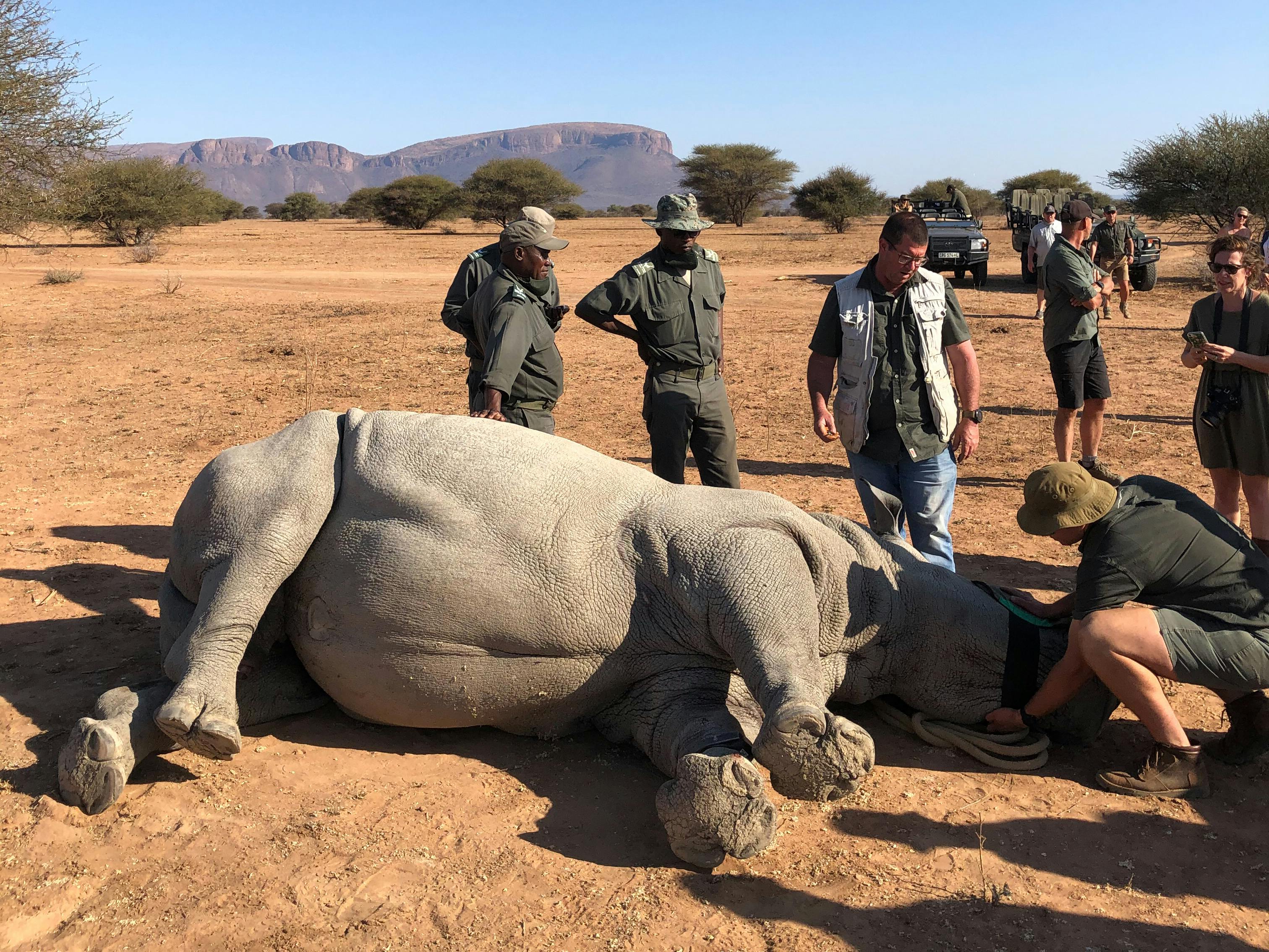 dreaming of for 2021