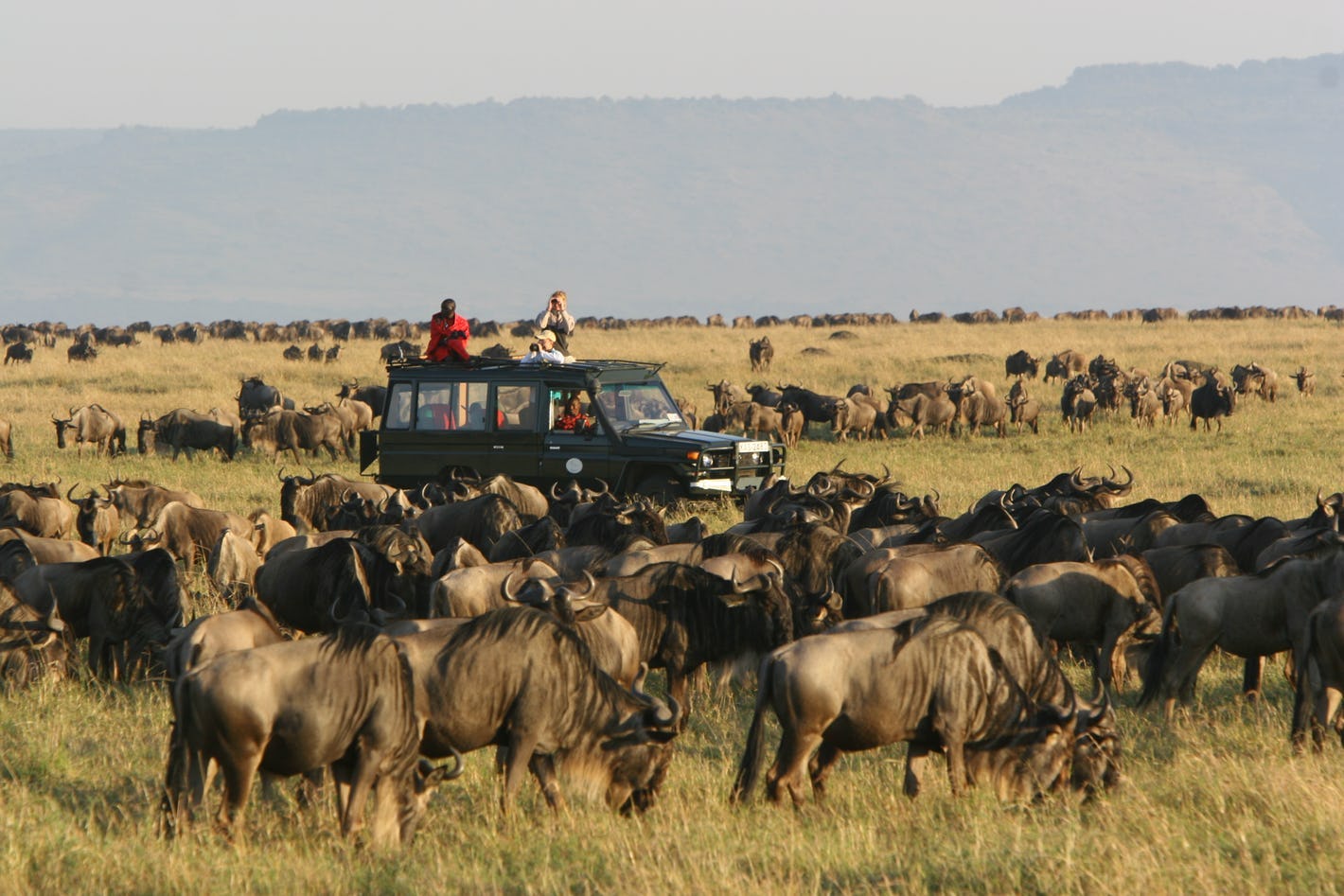 Masai Mara safari