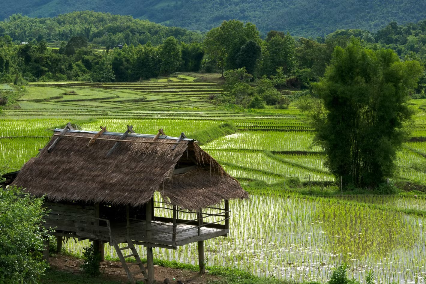 Laos Country Guide