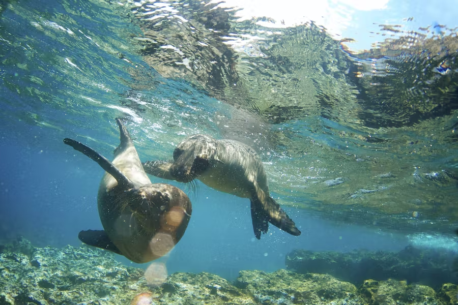 best time to visit Ecuador