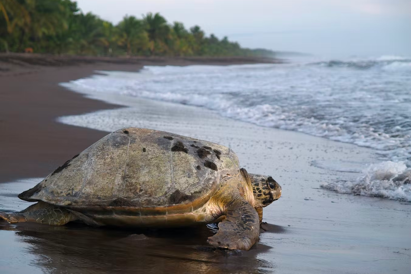 best time to visit costa rica
