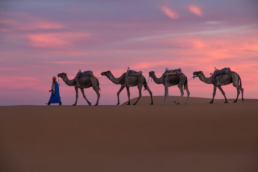 morocco honeymoons