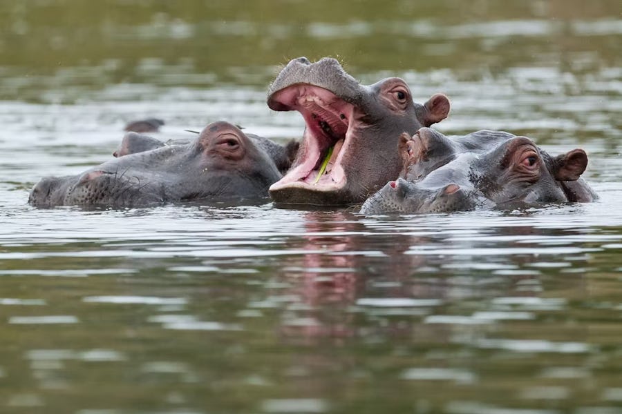 things to do in Namibia