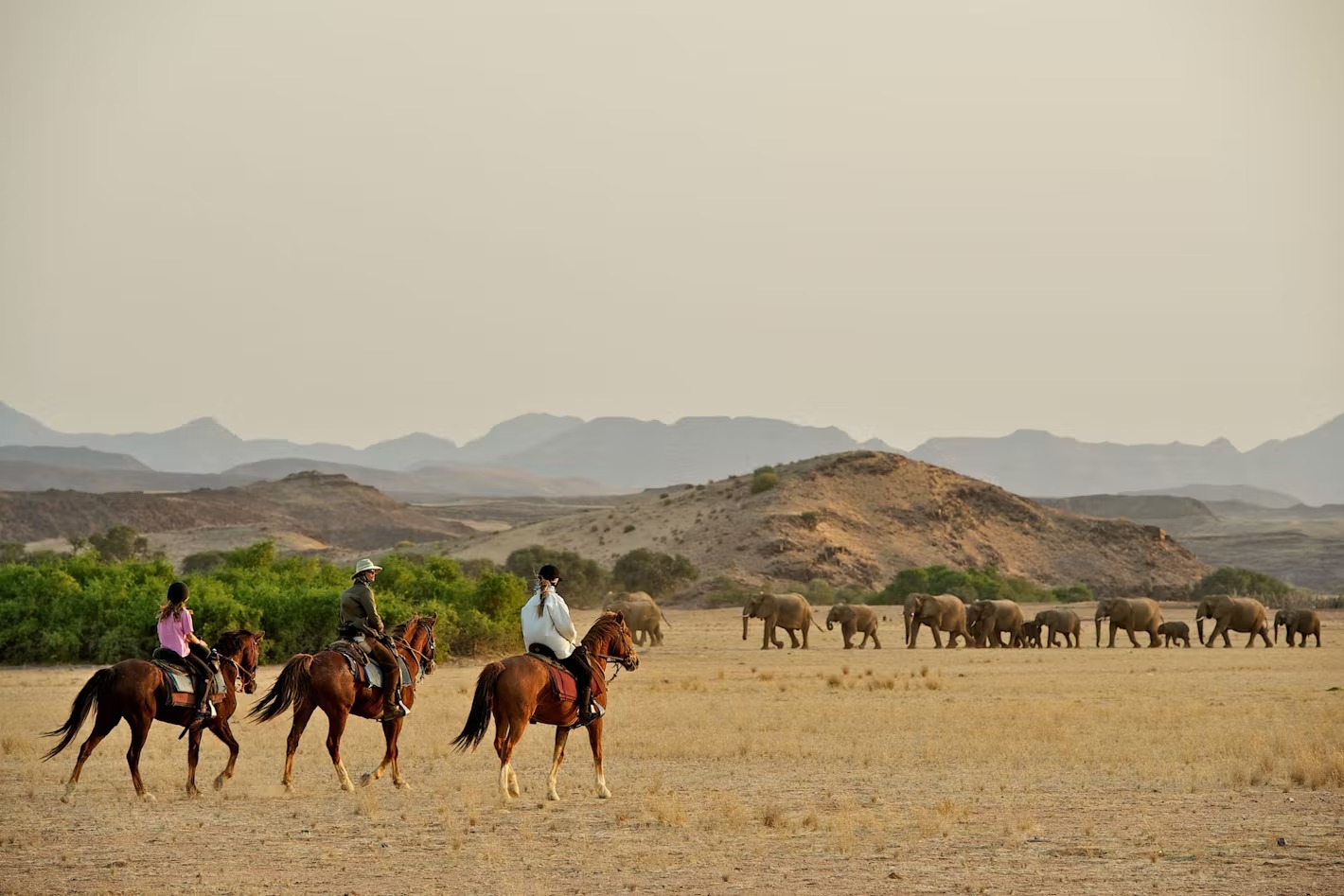 things to do in Namibia