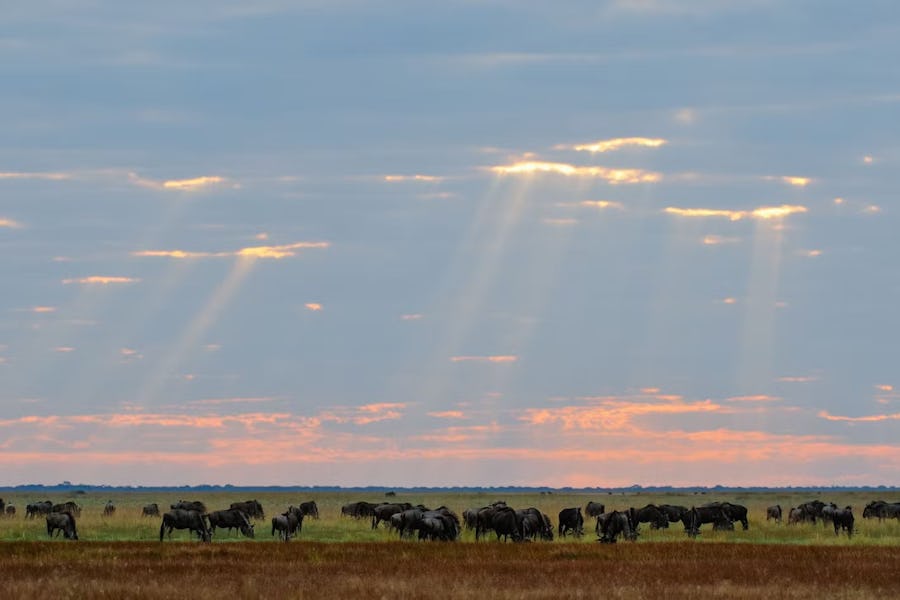 Zambia honeymoon