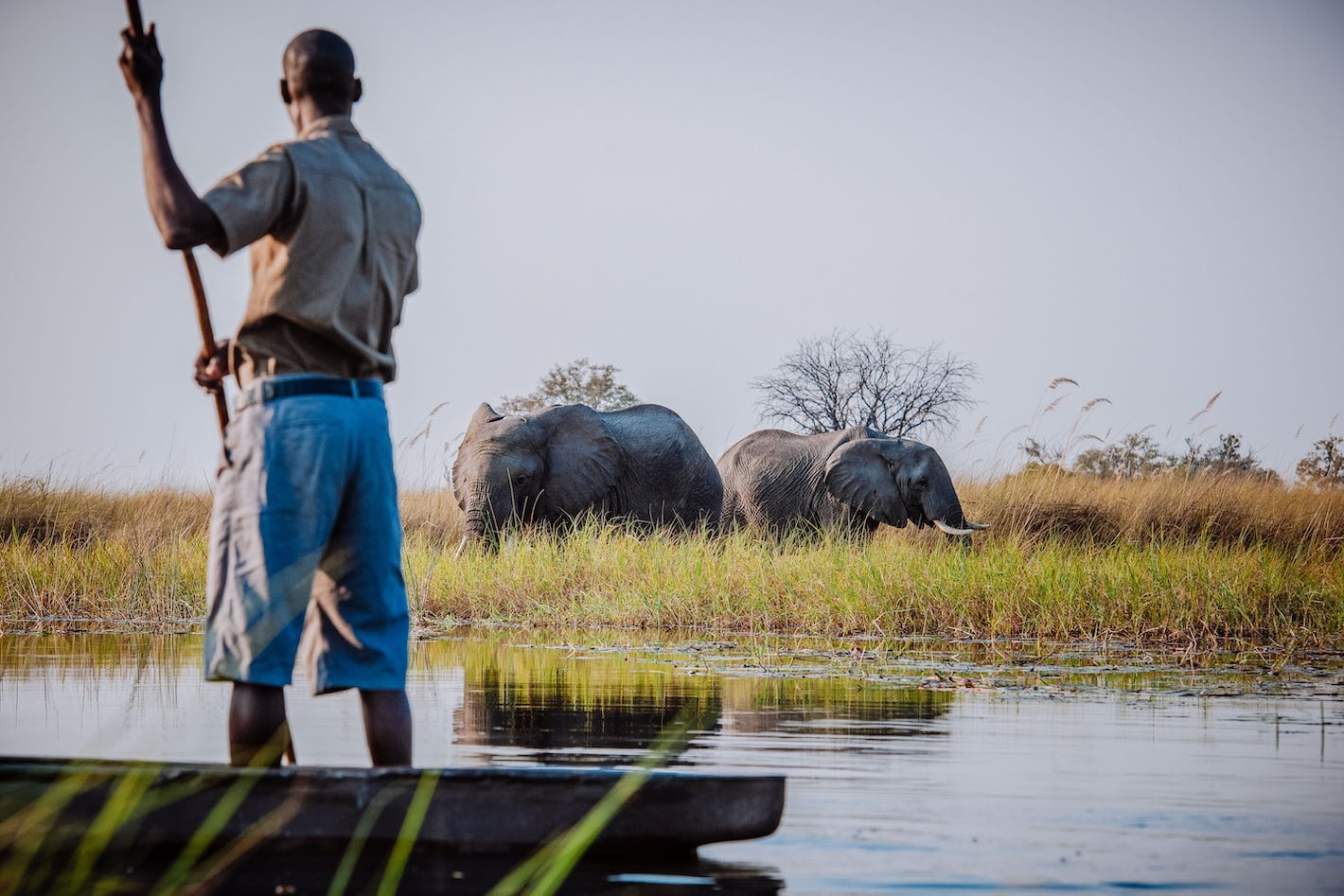 Solo Travel in Botswana