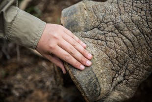 A Spotlight on Conservation