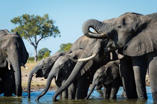 Zimbabwe Travel Tips