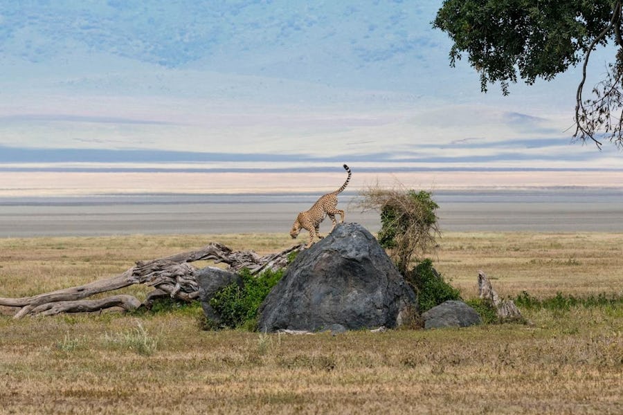 Where To Escape To This Winter