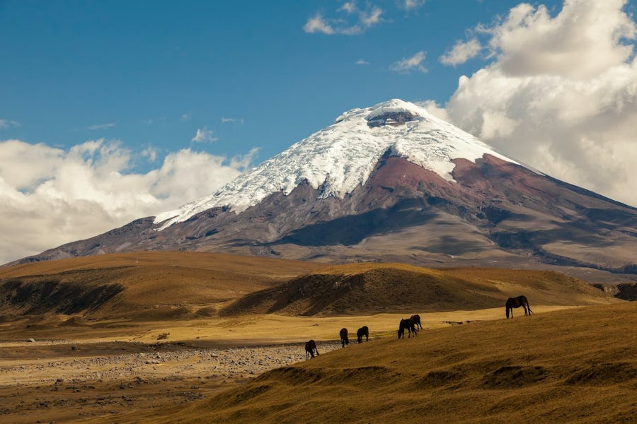 Ecuador in luxury