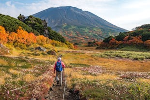 When To Visit Japan