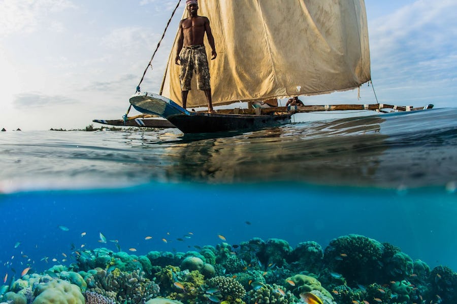 Sail off pemba island in a dhow