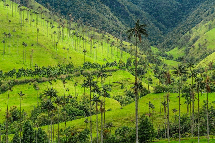 best time to visit Colombia