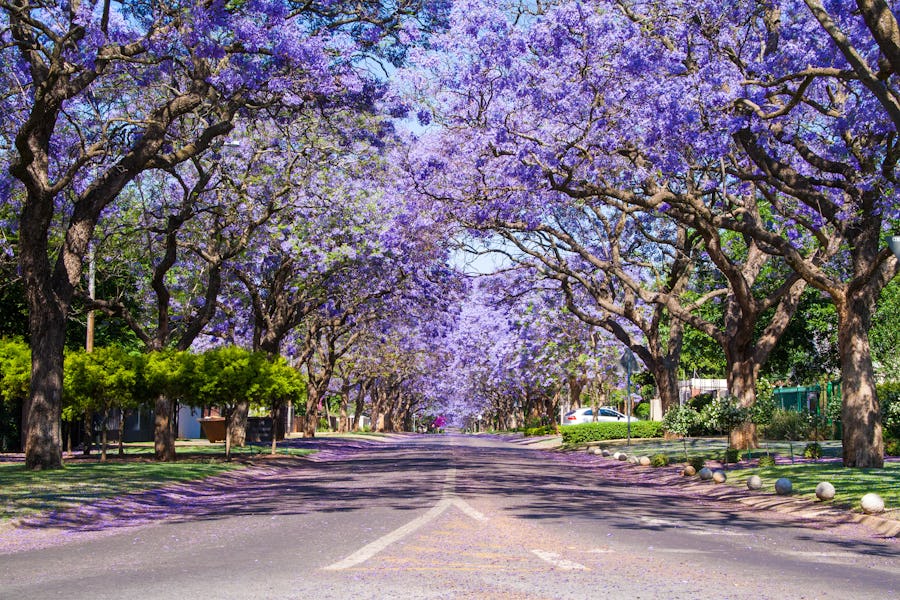 South Africa capital cities