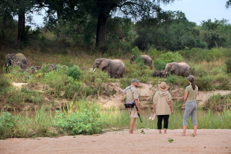 What to wear on safari in South Africa