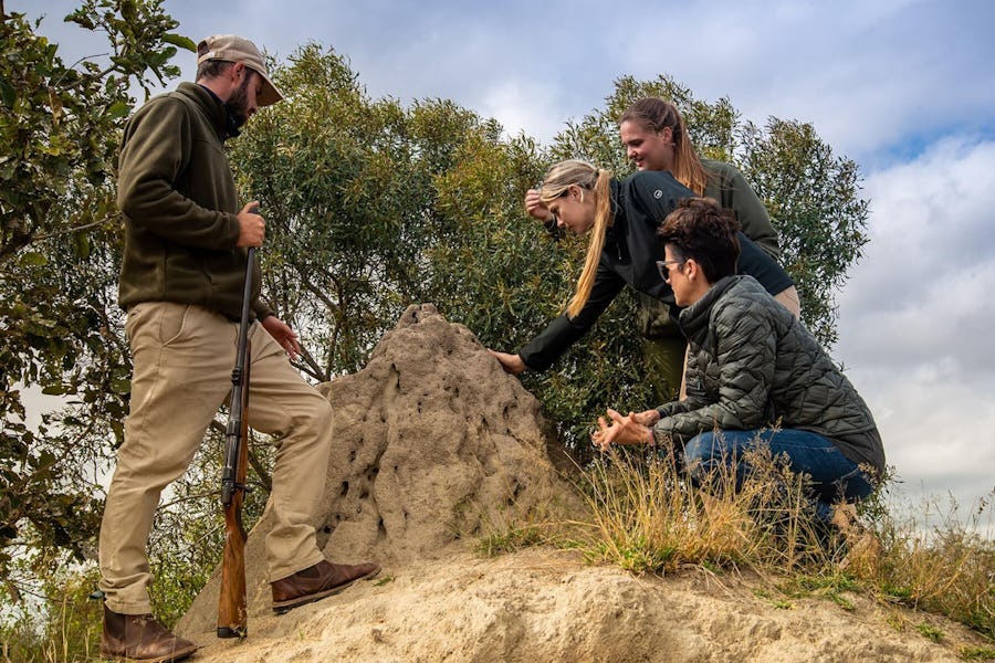What to wear on safari in South Africa