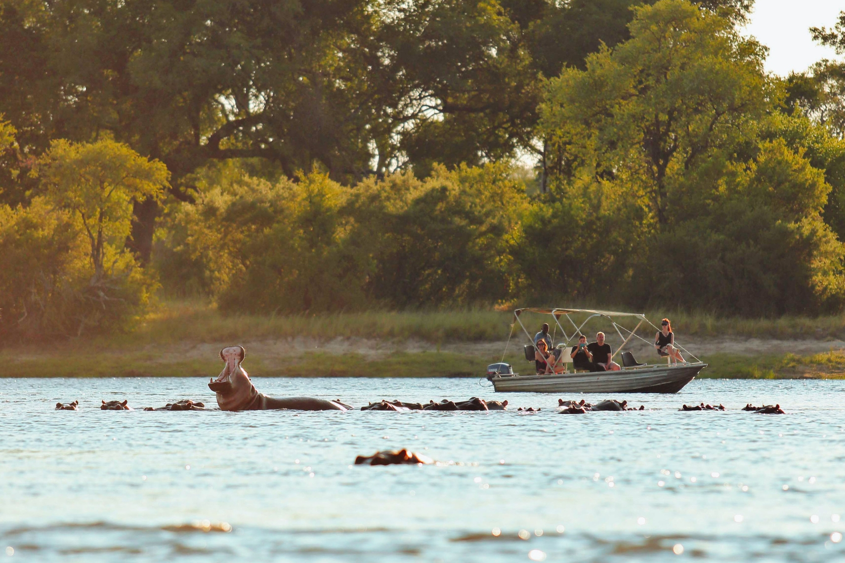 Adventure activities in Zambia beyond just game drives