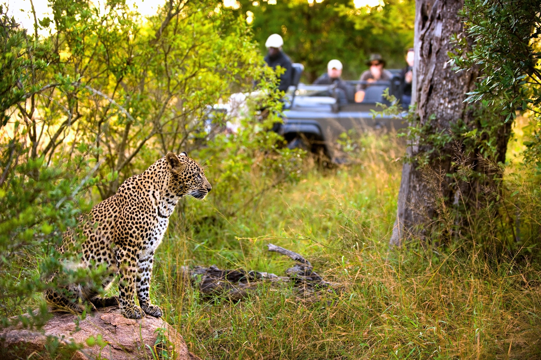 Kruger and winelands itinerary