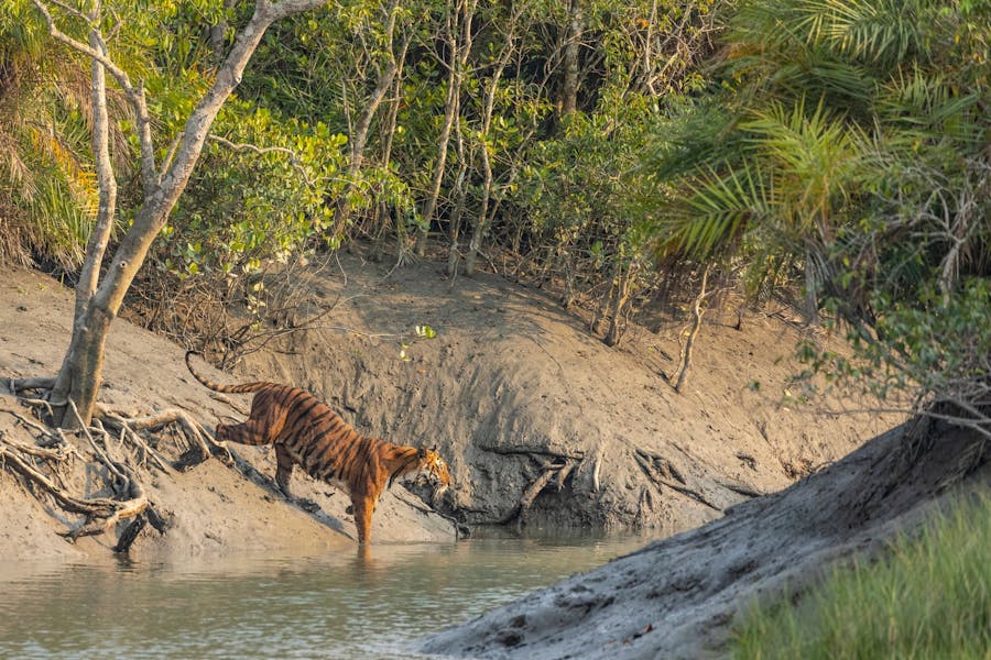 safari destinations outside Africa