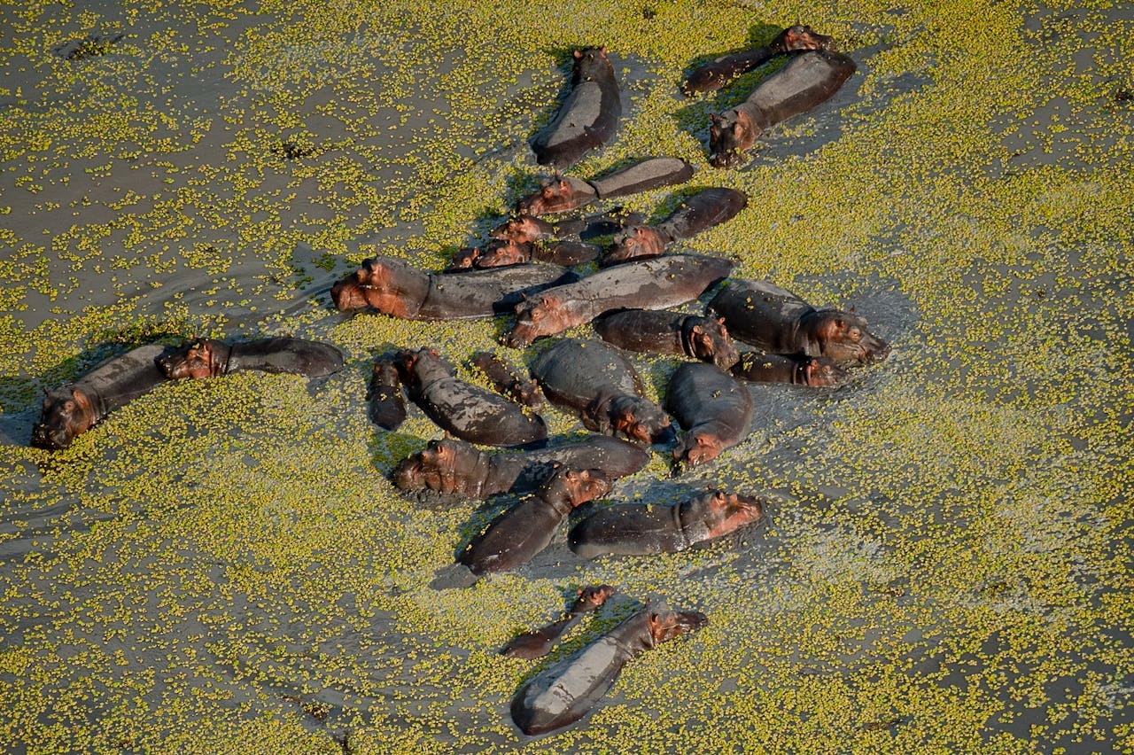 Annie’s Southern Tanzania Safari