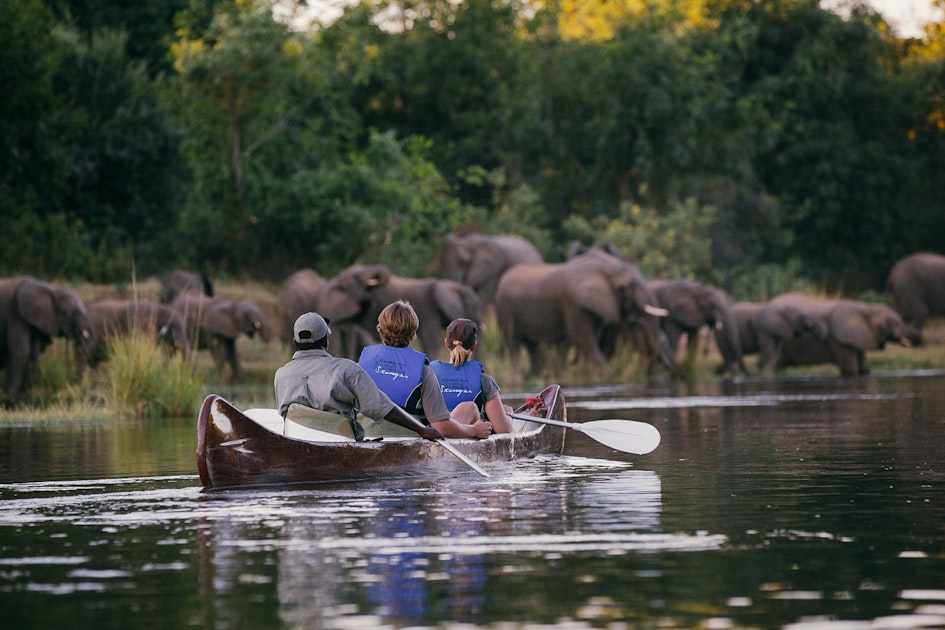 Canoeing safaris in the Lower Zambezi National Park Timbuktu Travel