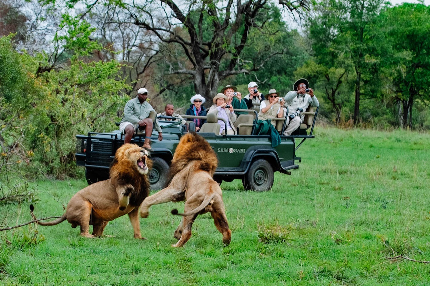 Kruger Photographic Safari Timbuktu Travel