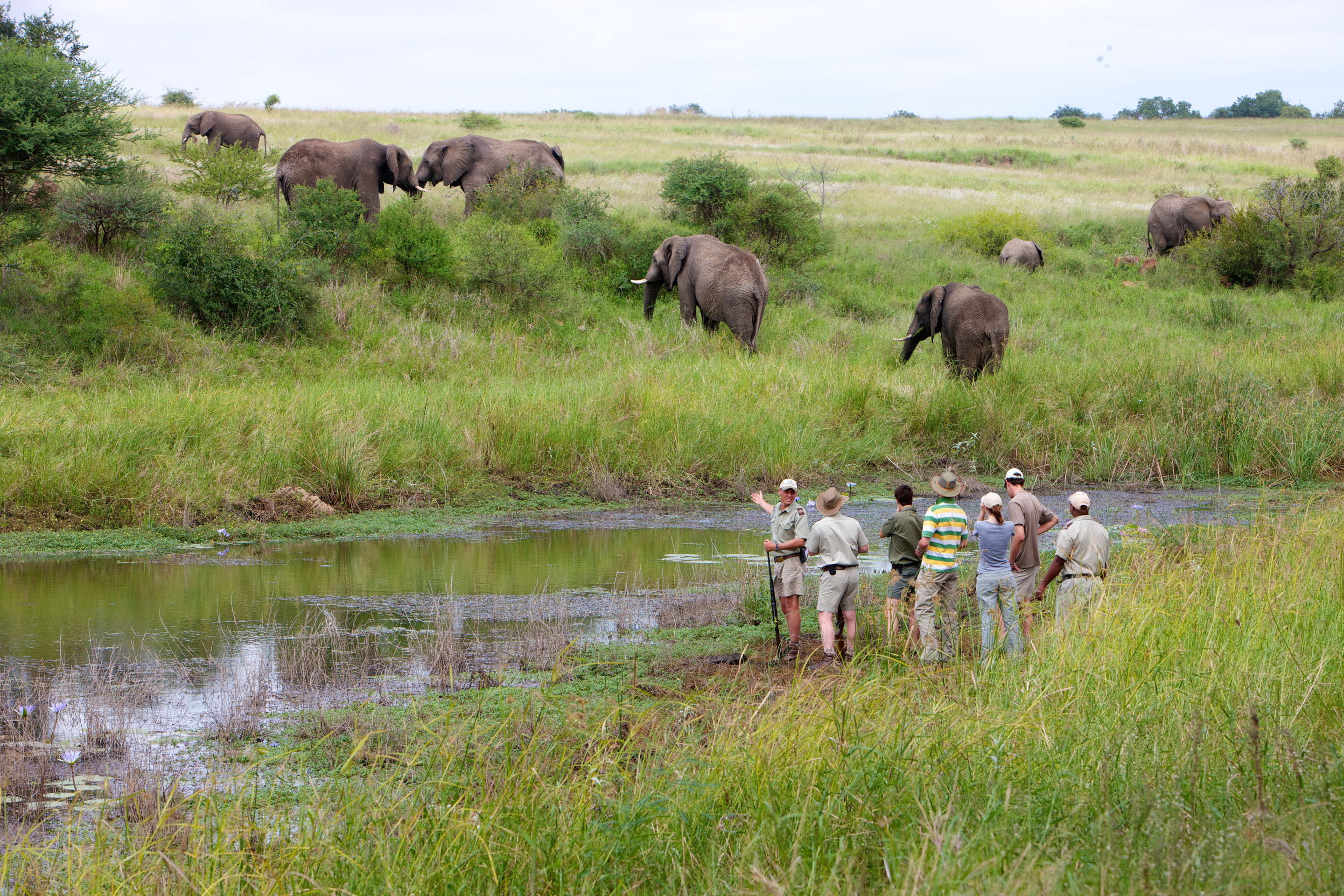 Kruger National Park Walking Safari | Timbuktu Travel