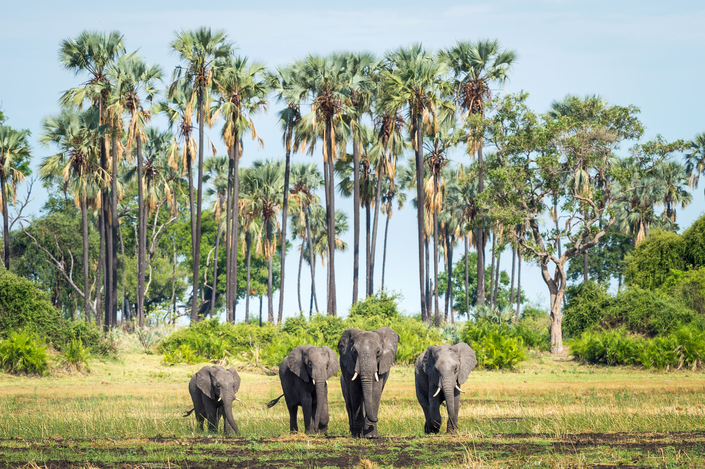 The Ultimate Southern Africa trip