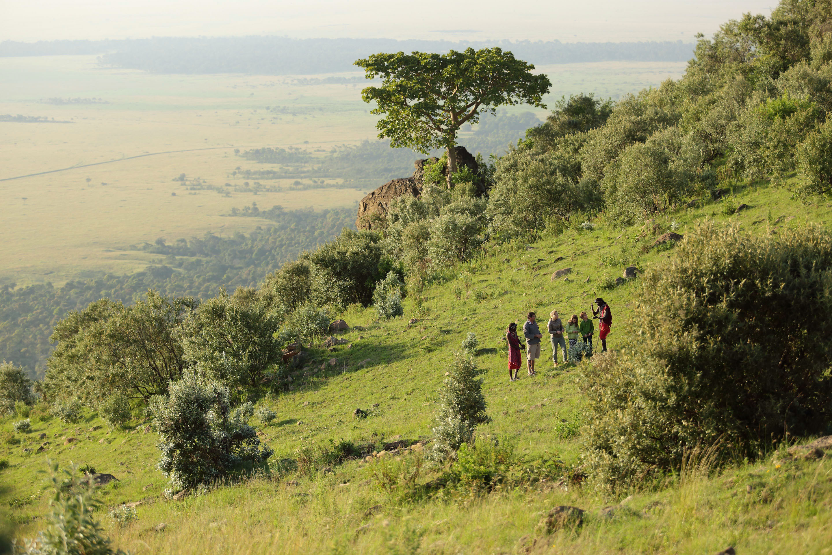 Everything we hoped for and more