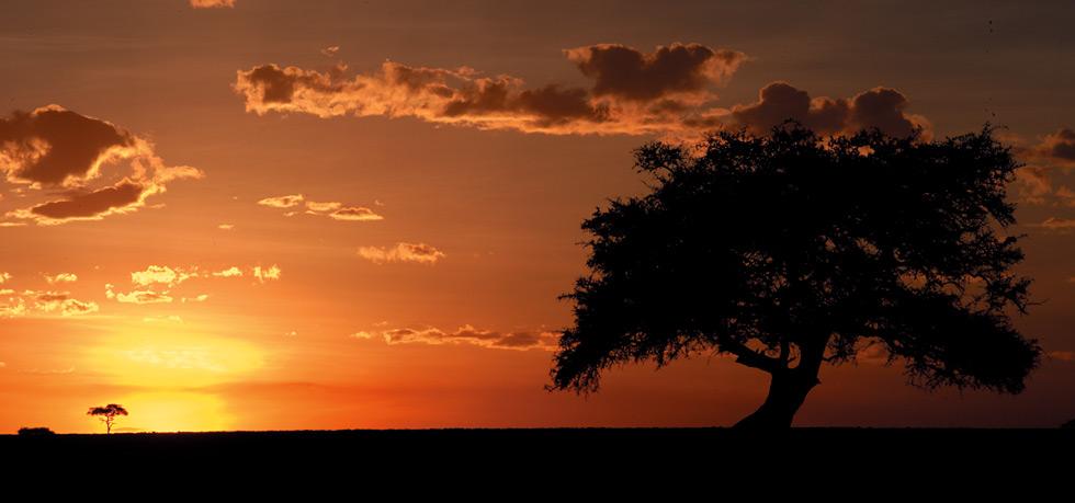 Fairmont Mara Safari Club, Kenya | Timbuktu Travel - 980 x 421 jpeg 42kB