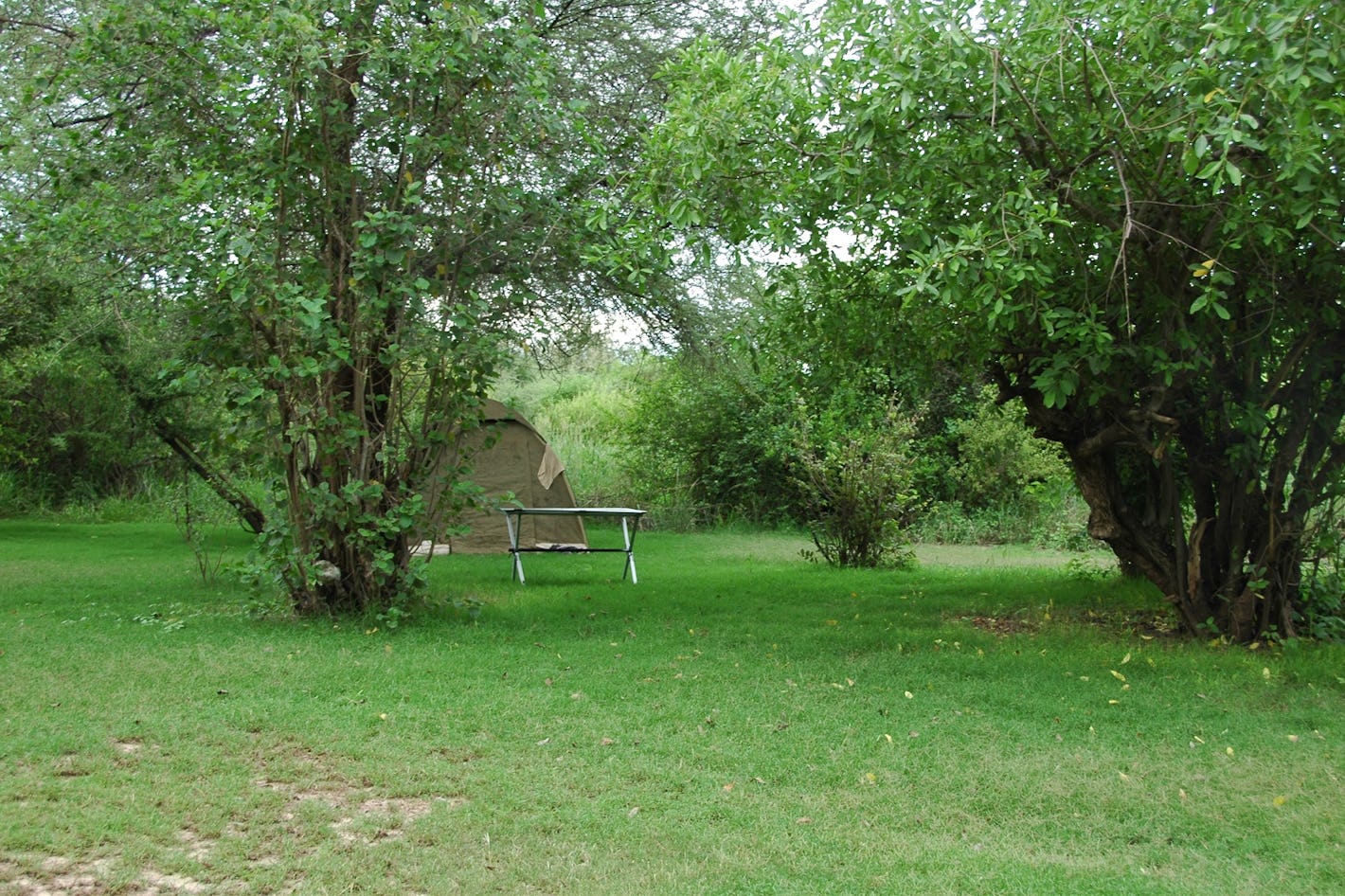 Roika Tarangire Tented Lodge, Tanzania | Timbuktu Travel