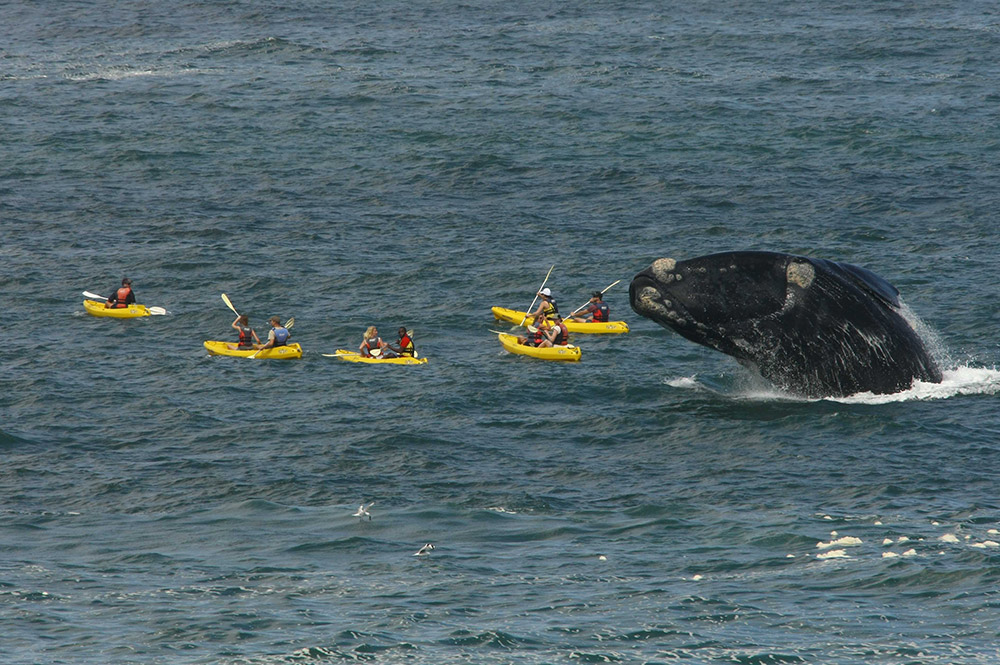 Zoete Inval Travellers Lodge South Africa Timbuktu Travel - 