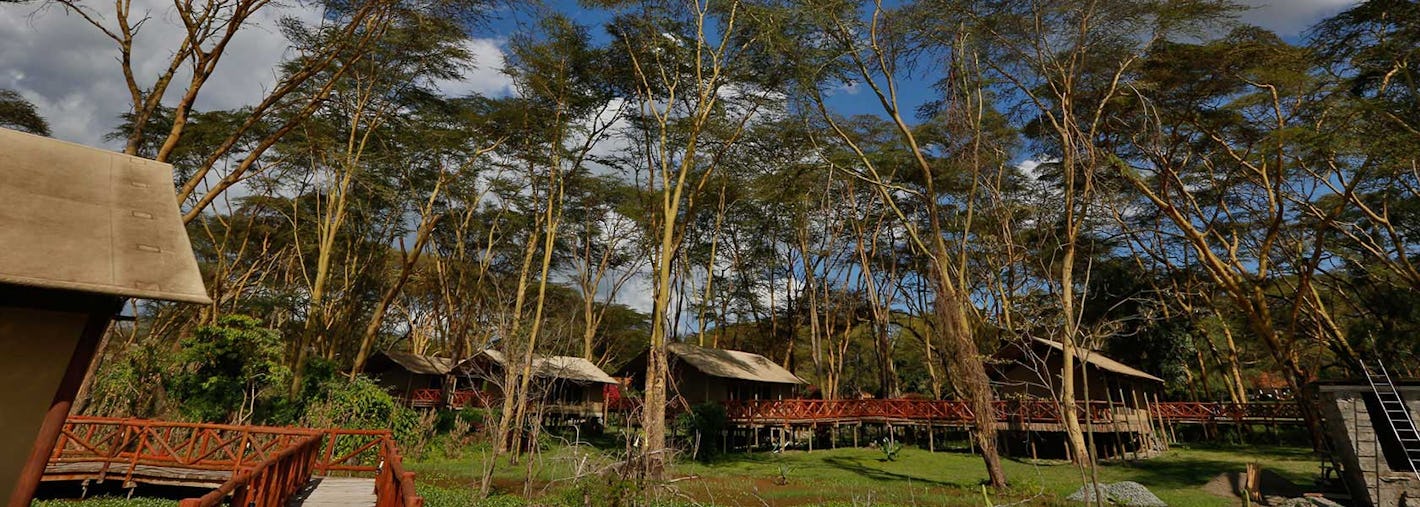 kiboko safari camp