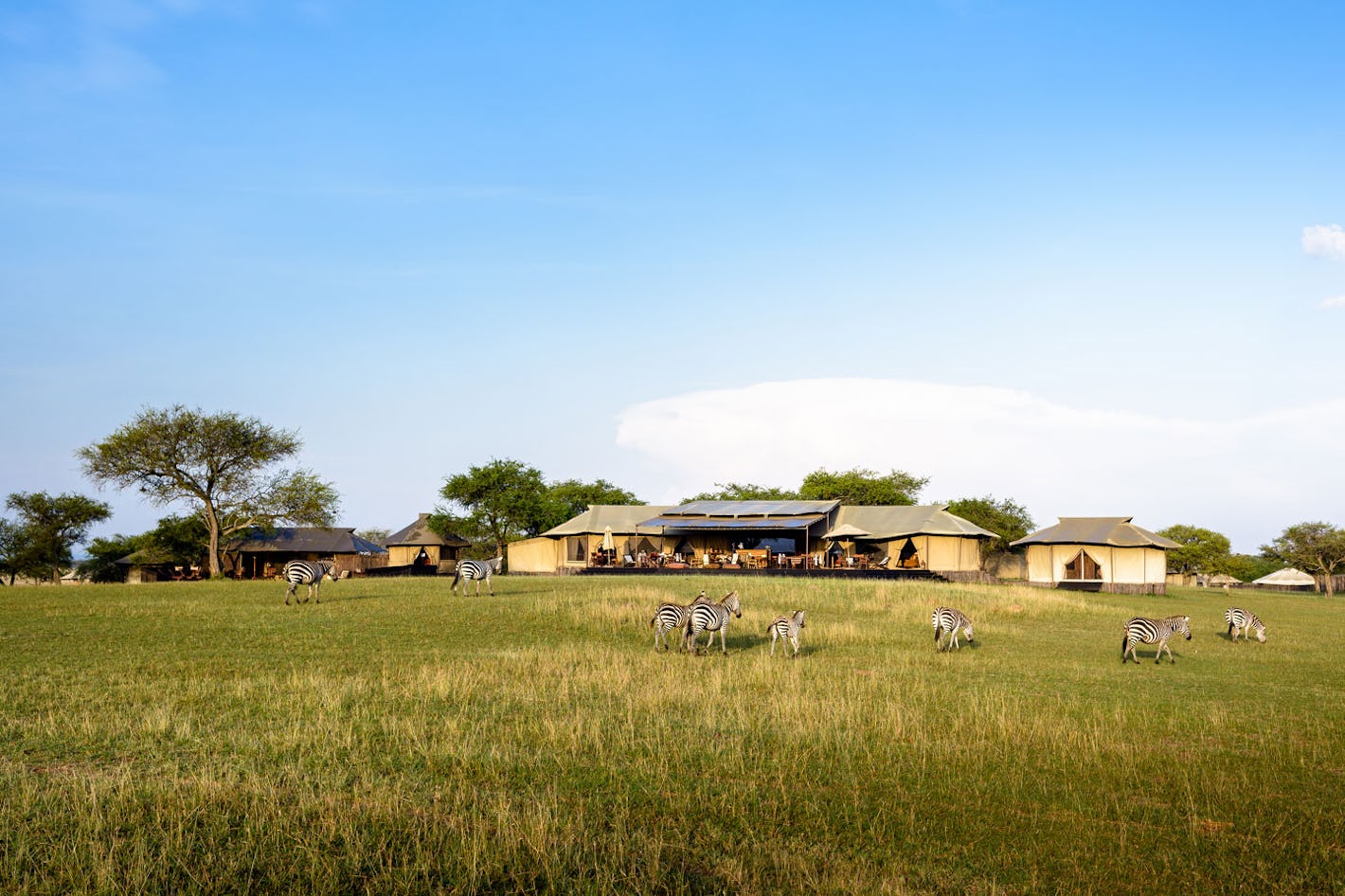 18 Best National Parks In Tanzania 2021 13 18 Best National Parks In Tanzania 2021