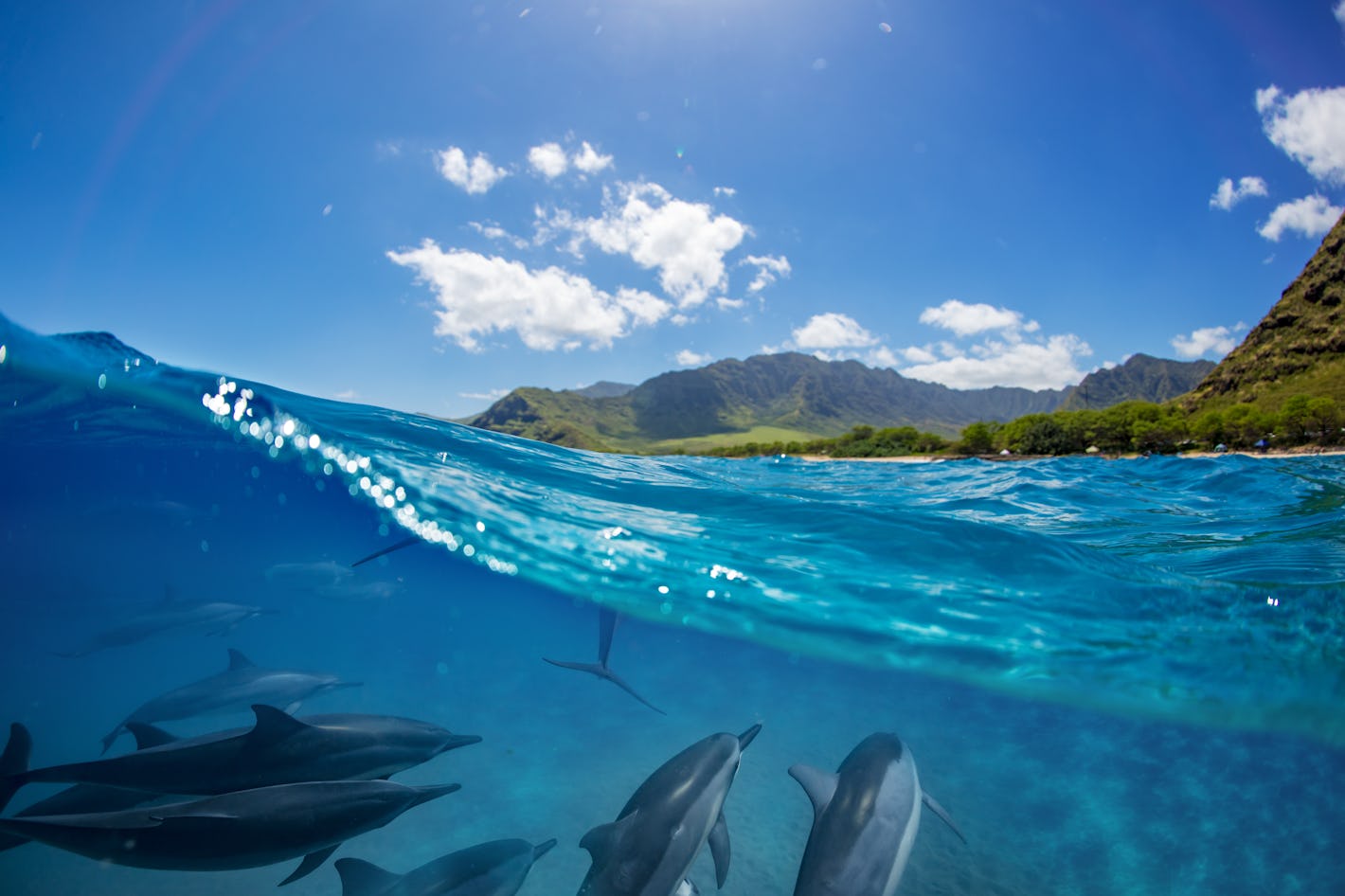 Design Your Reunion Island Trip Online Timbuktu Travel Design Your Reunion Island Trip Online Timbuktu Travel